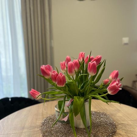Apartament Kaszmirowy Бельско-Бяла Экстерьер фото