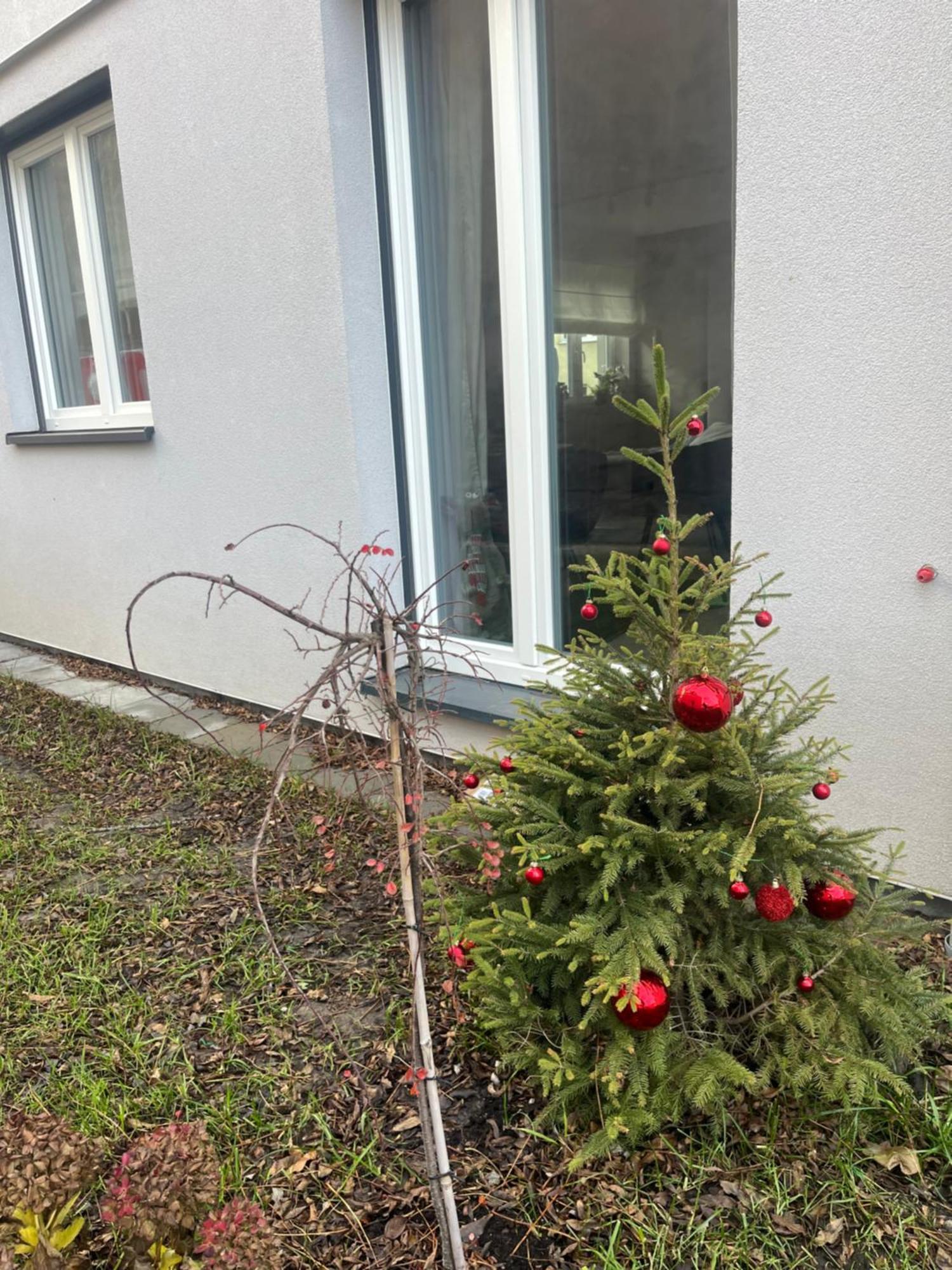 Apartament Kaszmirowy Бельско-Бяла Экстерьер фото